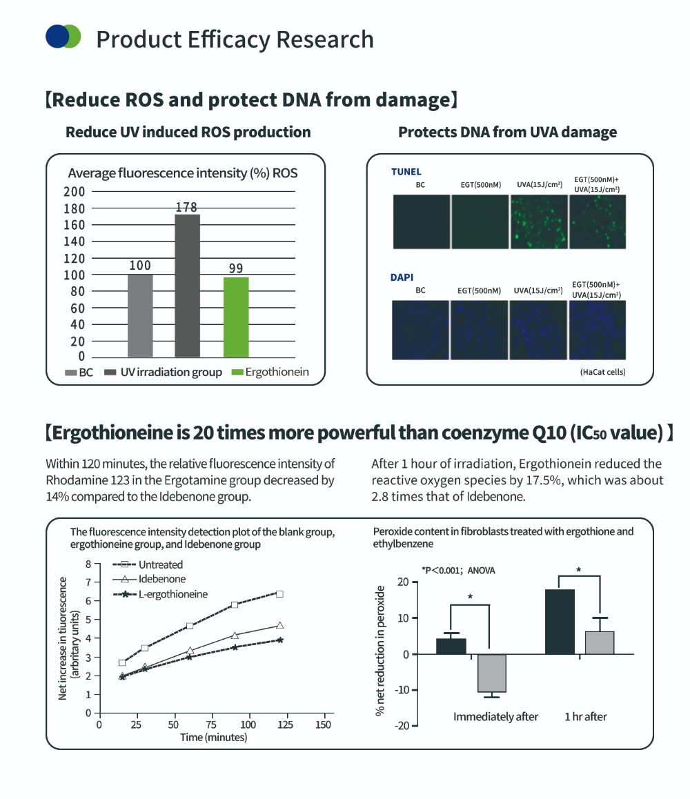 Composto antiossidante Ergotioneina Composto antiossidante Ergotioneina