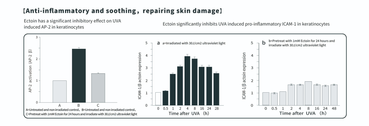 Benefici antinfiammatori della polvere di ectoina per la pelle Benefici antinfiammatori della polvere di ectoina per la pelle