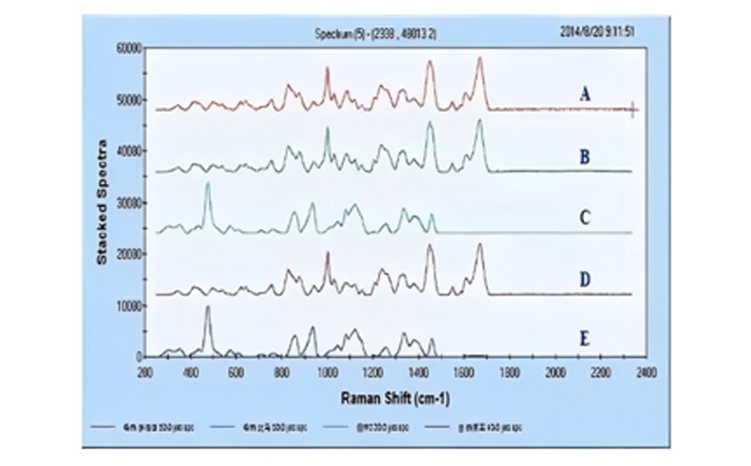 Piattaforma di analisi e test ad alto rendimento