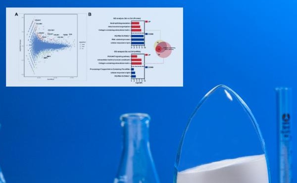 Magazine di bellezza di fama internazionale "SOFW Journal": Tecnologia OMICS e acido N -acetilneuraminico - Decodifica dei segreti della pelle giovanile