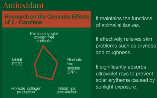 Effetti antiossidanti della polvere naturale beta carotene