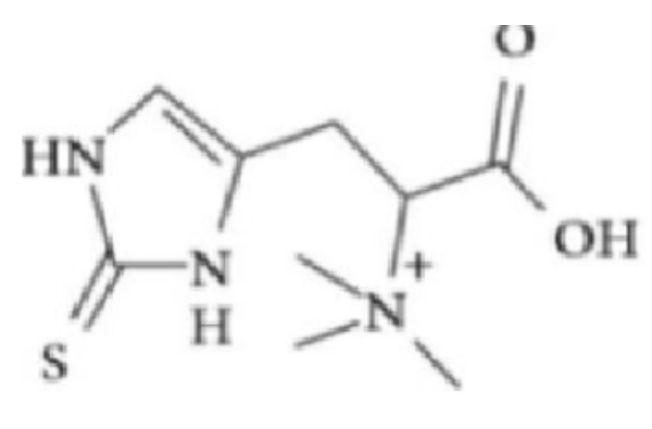 Ergotioneina