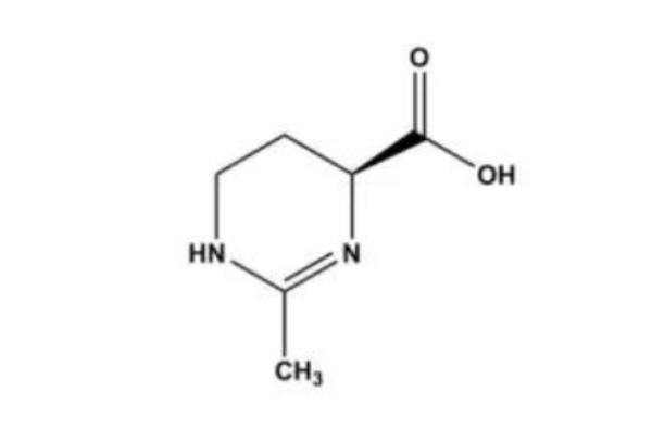 Effetti riparatori della polvere di ectoina, ingrediente altamente attivo, per la pelle