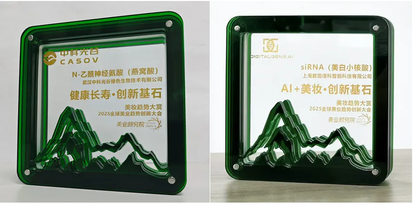 Premi per l'innovazione doppia