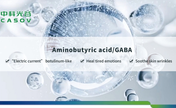 Il ruolo dell'acido aminobutirrico (GABA) nella cura della pelle: una soluzione anti-invecchiamento naturale